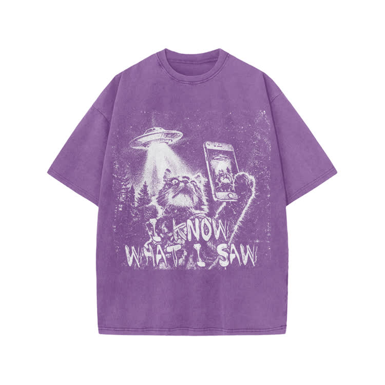 Vintage UFO Cat  I Know What I Saw Graphic Washed T-Shirt