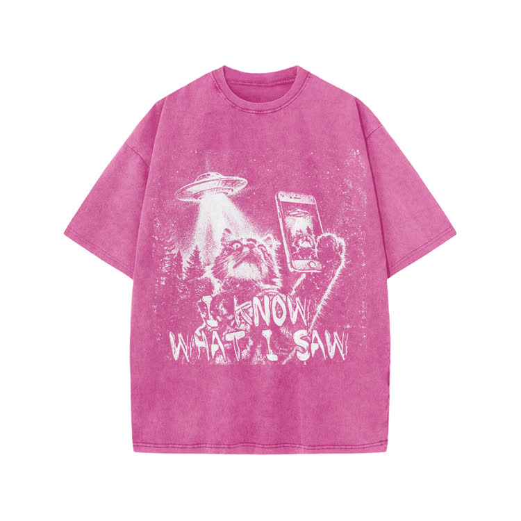 Vintage UFO Cat  I Know What I Saw Graphic Washed T-Shirt